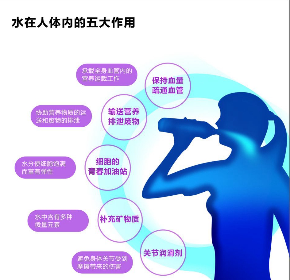 水在人体的五大作用